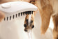 Hansgrohe Triple Jet Handheld Dog Shower in Pink (26640560)