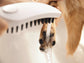 Hansgrohe Triple Jet Handheld Dog Shower in Matt White (26640700)